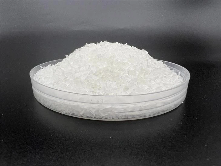 Non Woven Biodegradable Fabric