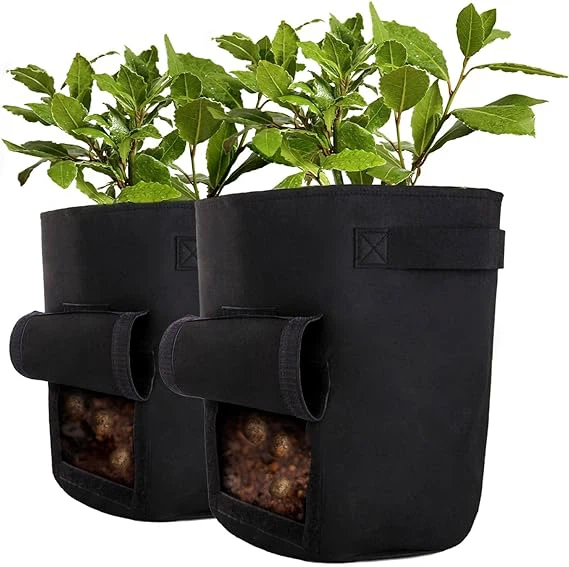 Bag Plannu Heb ei Wehyddu